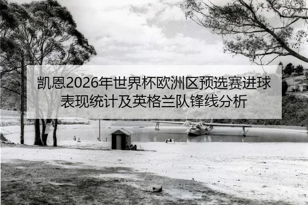 凯恩2026年世界杯欧洲区预选赛进球表现统计及英格兰队锋线分析